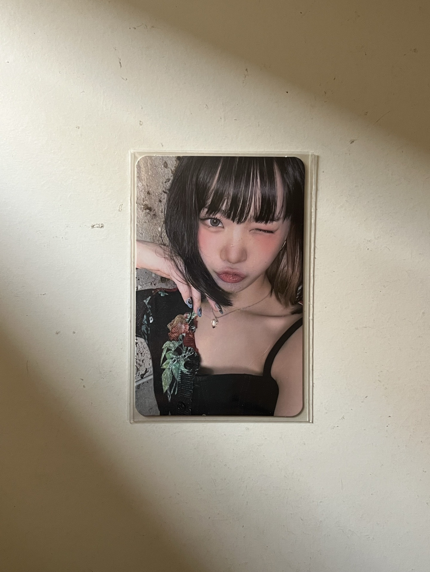 🍒ANTIFRAGILE 午夜采