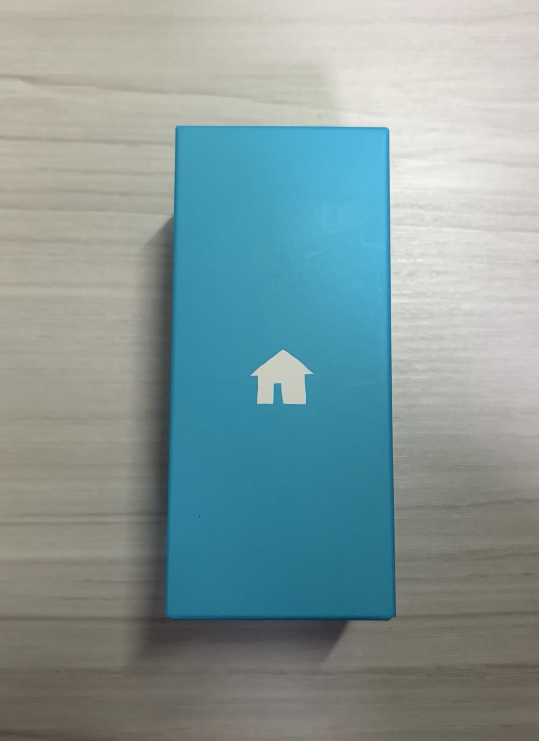 ［全新］boynextdoor 小手燈 手燈吊飾 鄰家男孩 手燈鑰匙圈