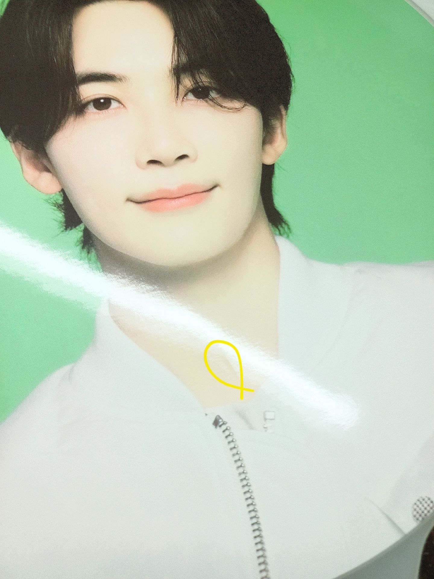 [現貨]淨漢 FOLLOW AGAIN TO JAPAN 大扇