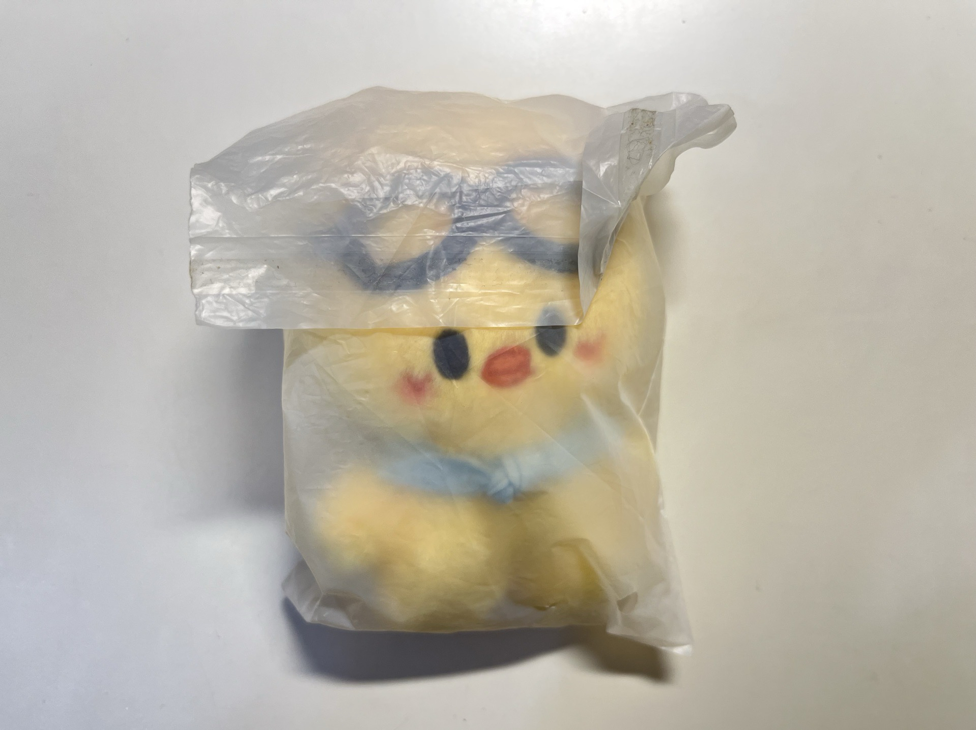 3期飯咪娃🐥（需綁）