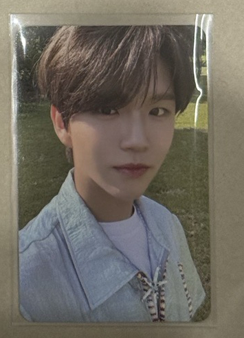 nct wish jaehee songbird letter專卡