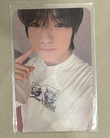 nct wish sakuya steady ia特典