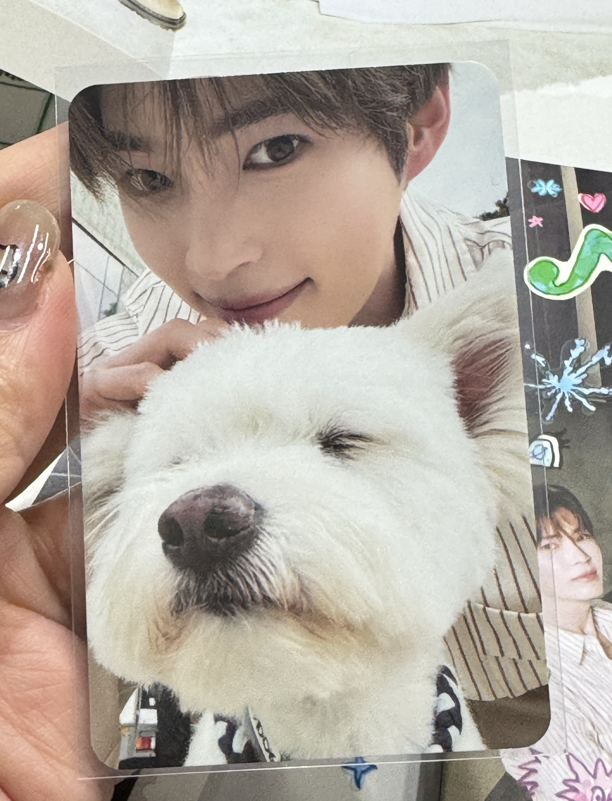 ZB1 正規一輯 單封 團封彬卡