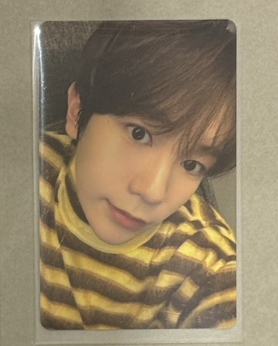 nct wish ryo LOG in隨機卡