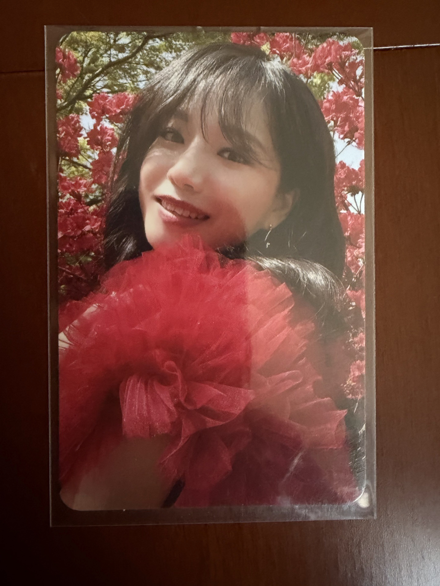 柔理 Op.22 Y-Waltz: in Minor 專輯卡 