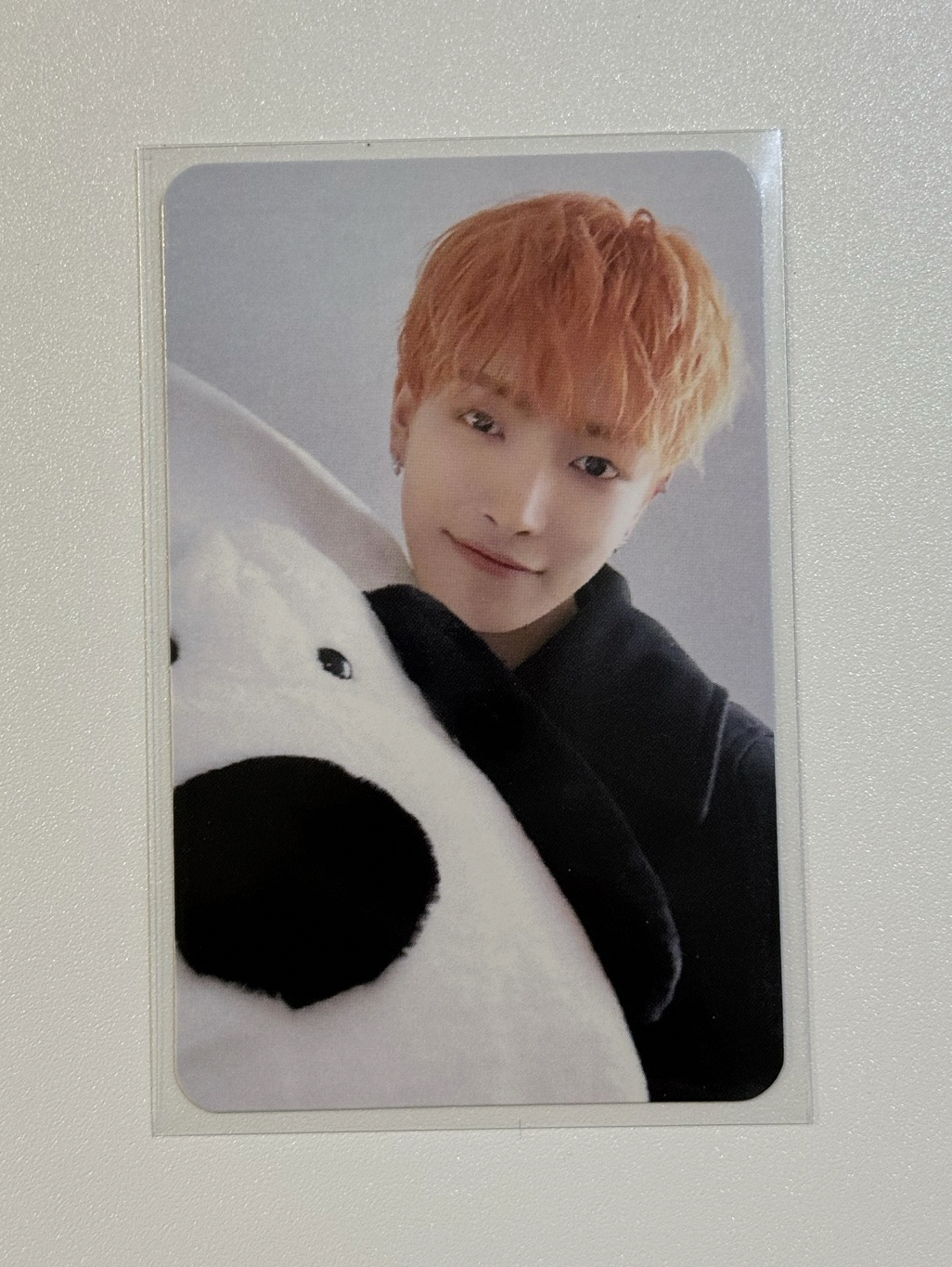 ATEEZ弘中 狗狗抱枕