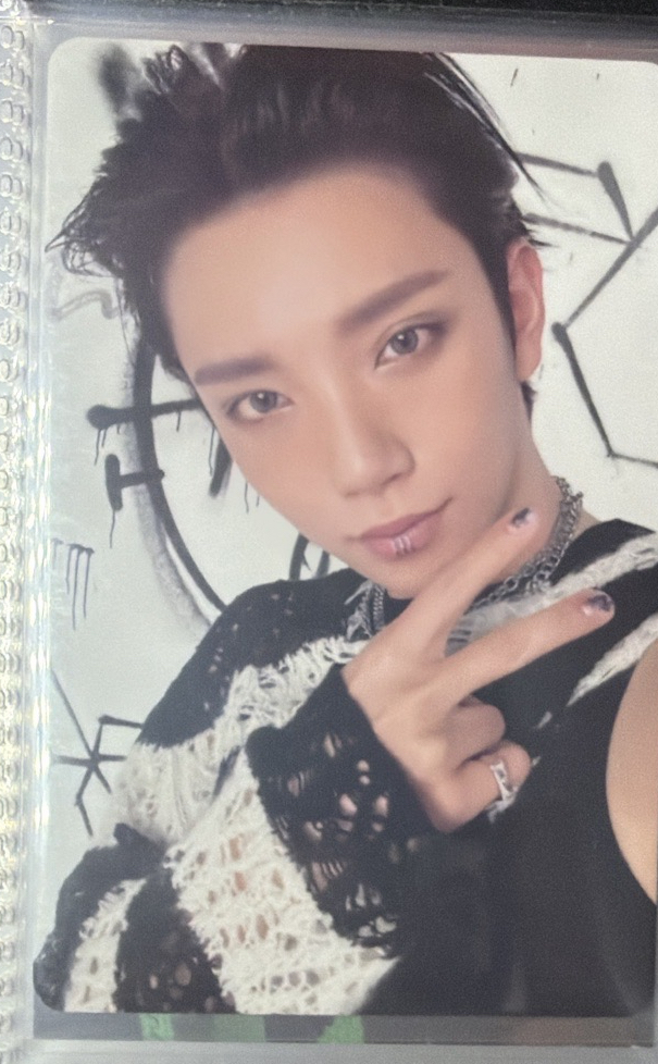 正五 專輯卡 CARAT ver.