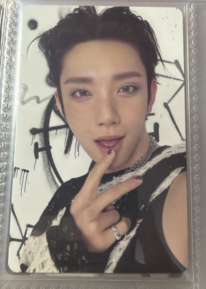 正五 專輯卡 正規五｜CARAT ver.