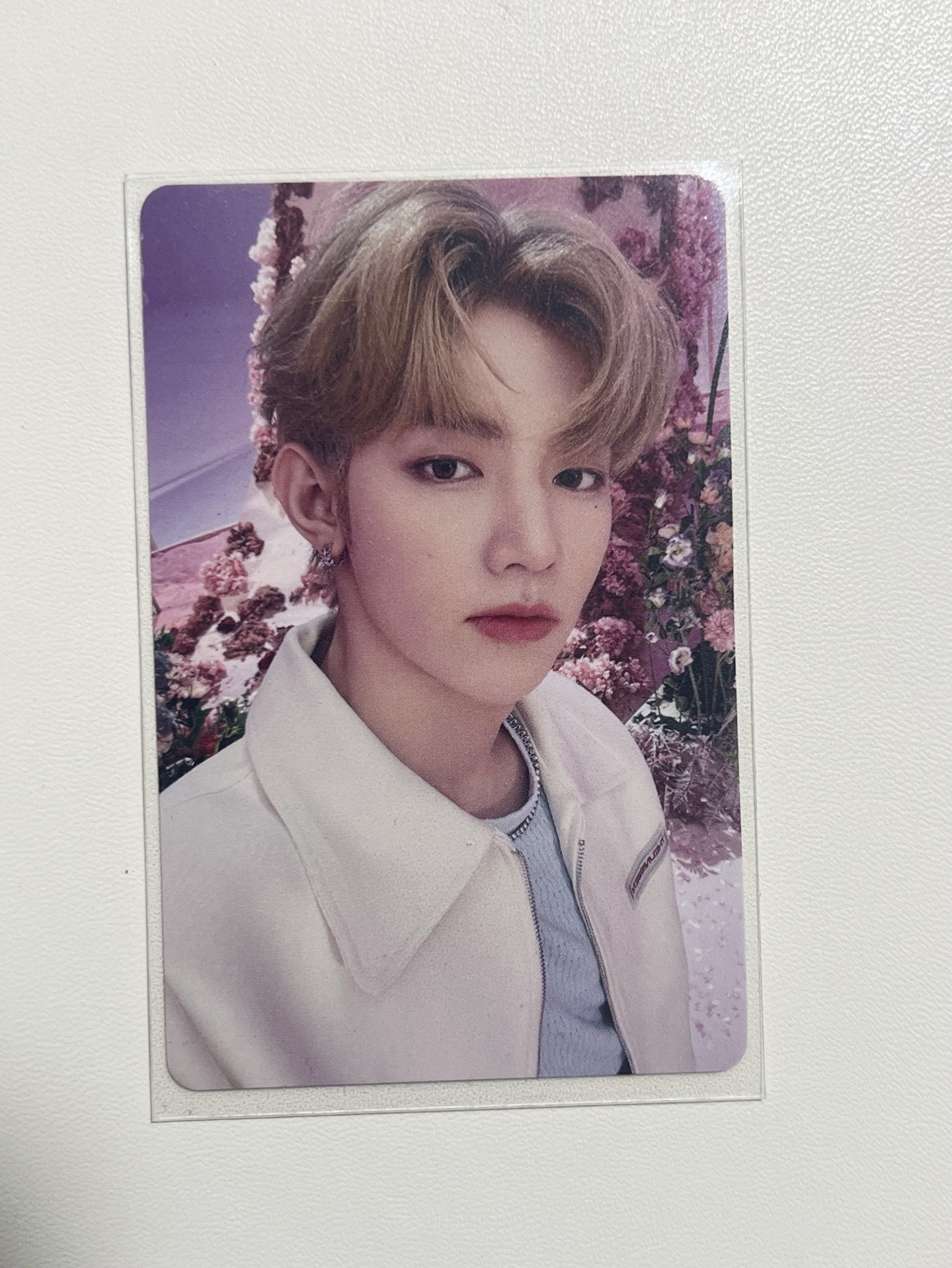 章昊日本24號場限卡