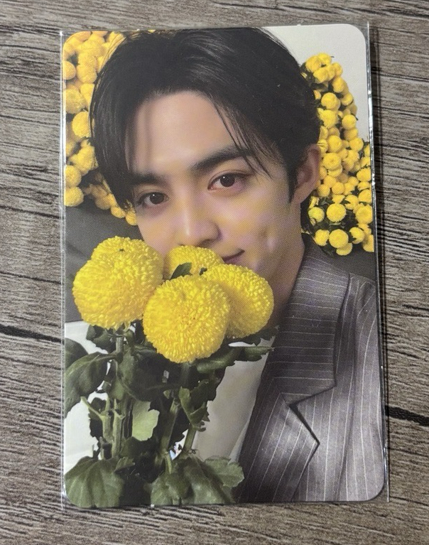 直出 SEVENTEEN 迷八 專卡 拿花哲 榮