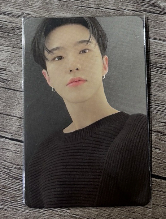 SEVENTEEN 迷你8輯 your choice 專卡