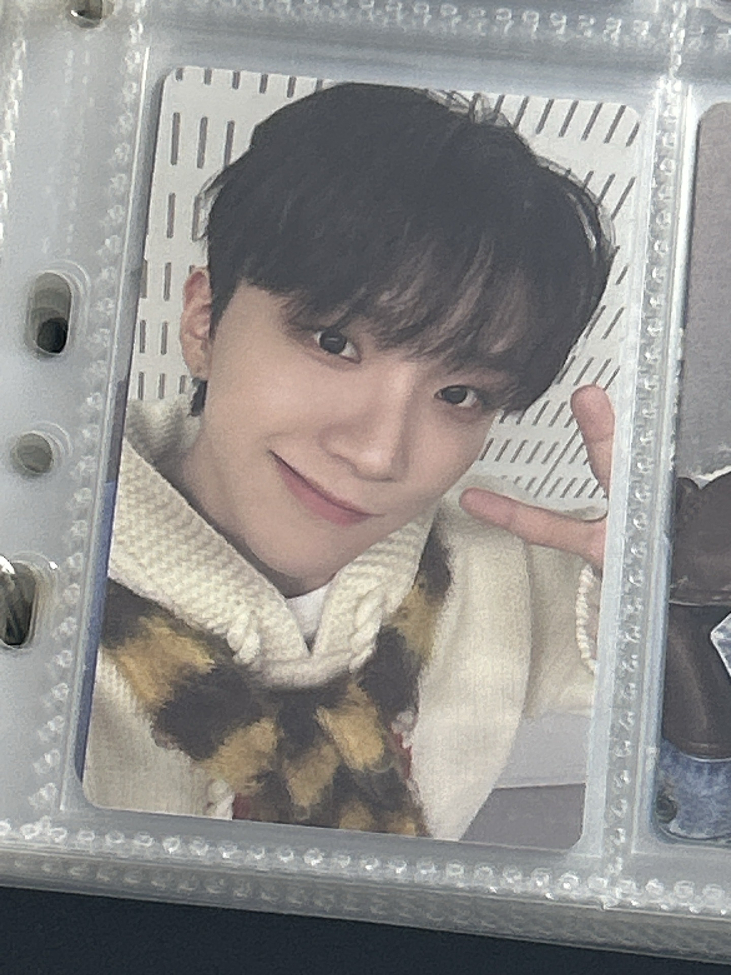 no genre wvs 單封 6