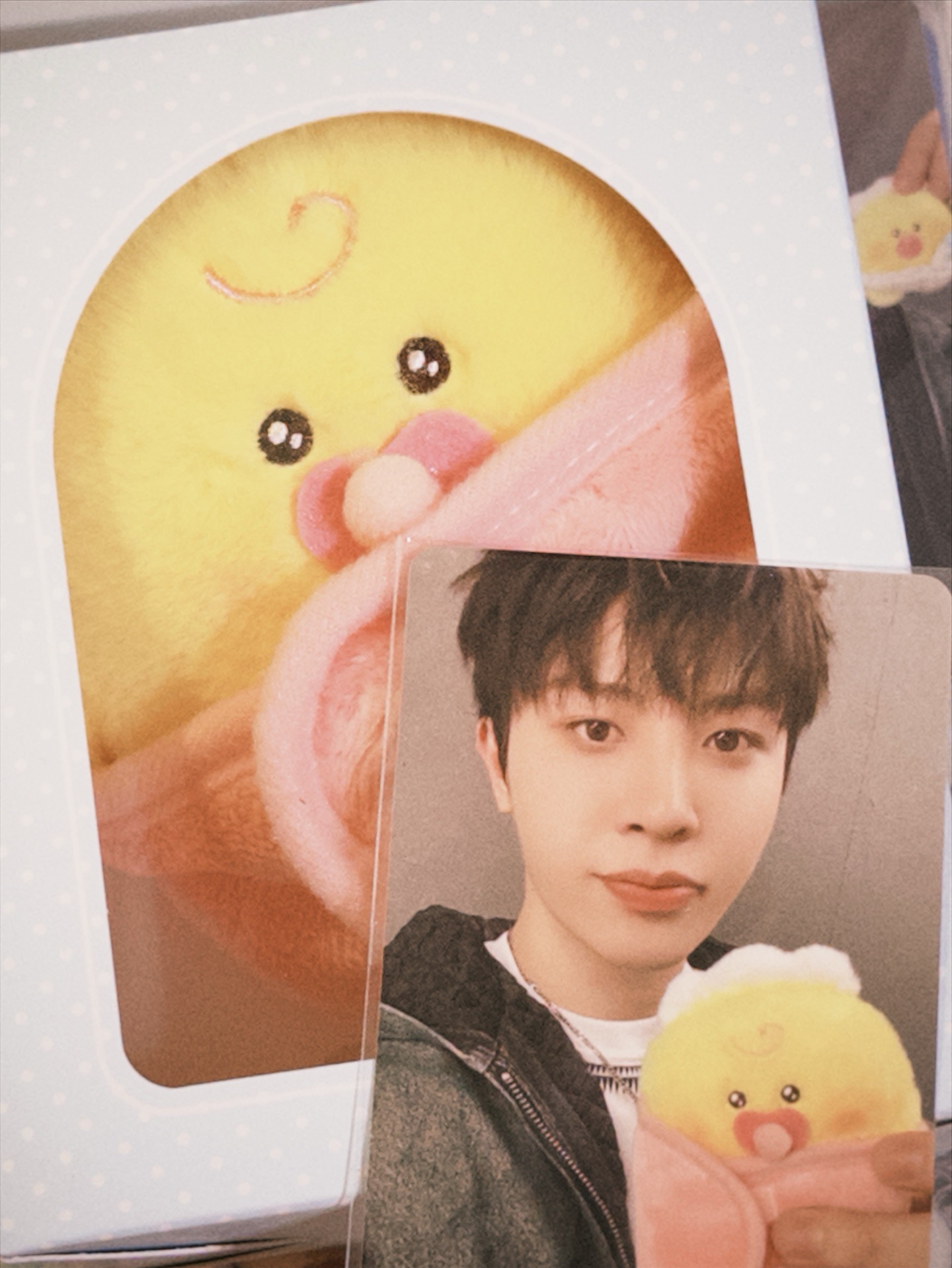 寶寶娃🐮🍼 含小卡