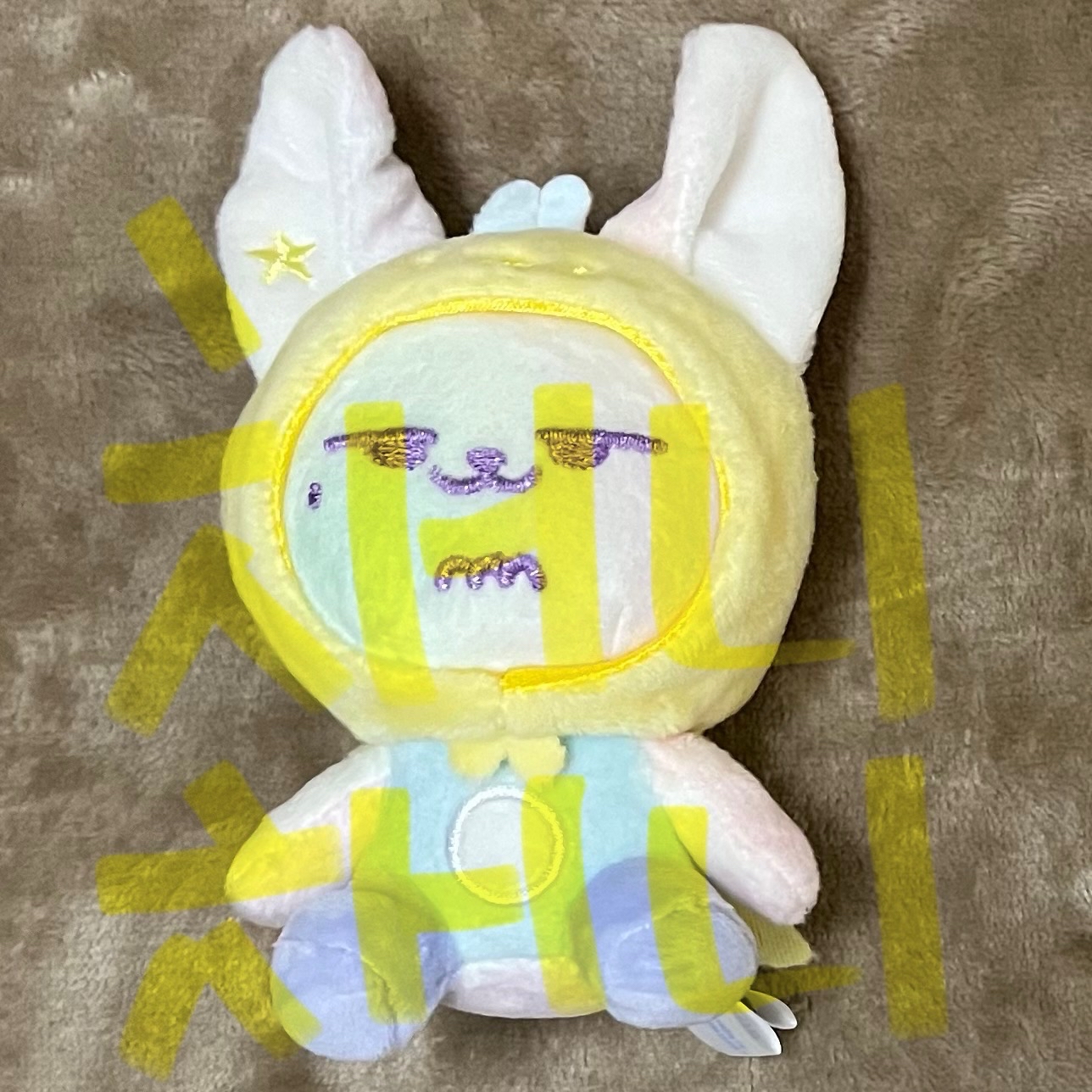 淡顏彩春+專輯小盤