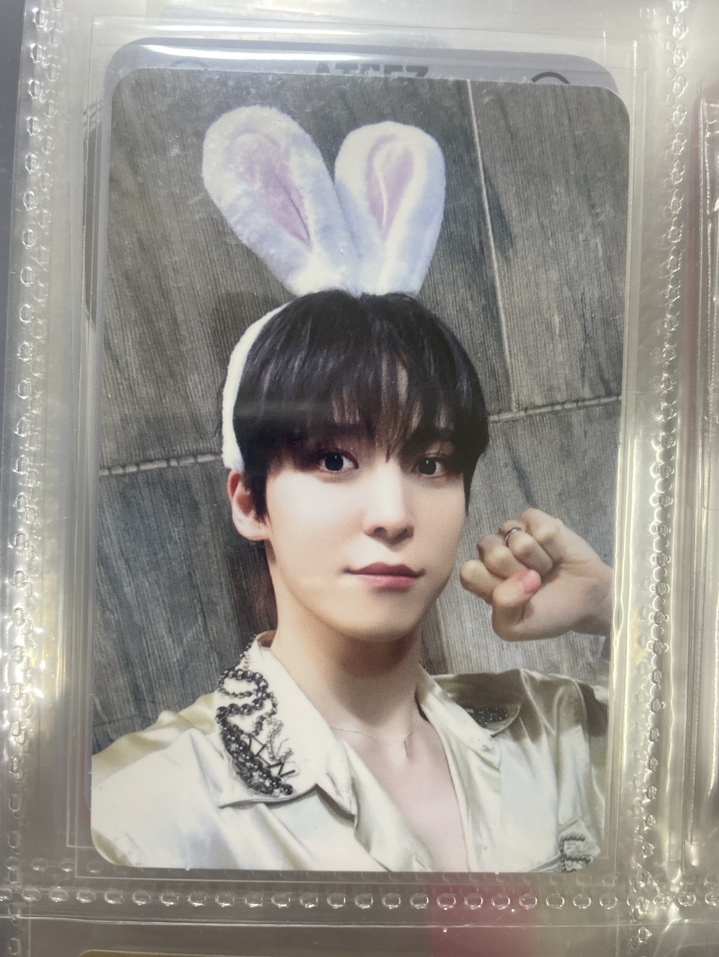 狗假裝兔子（需多帶一張其他賣場的尚或鍾）