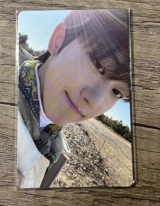 八 正4  陽光八 wvs 特典