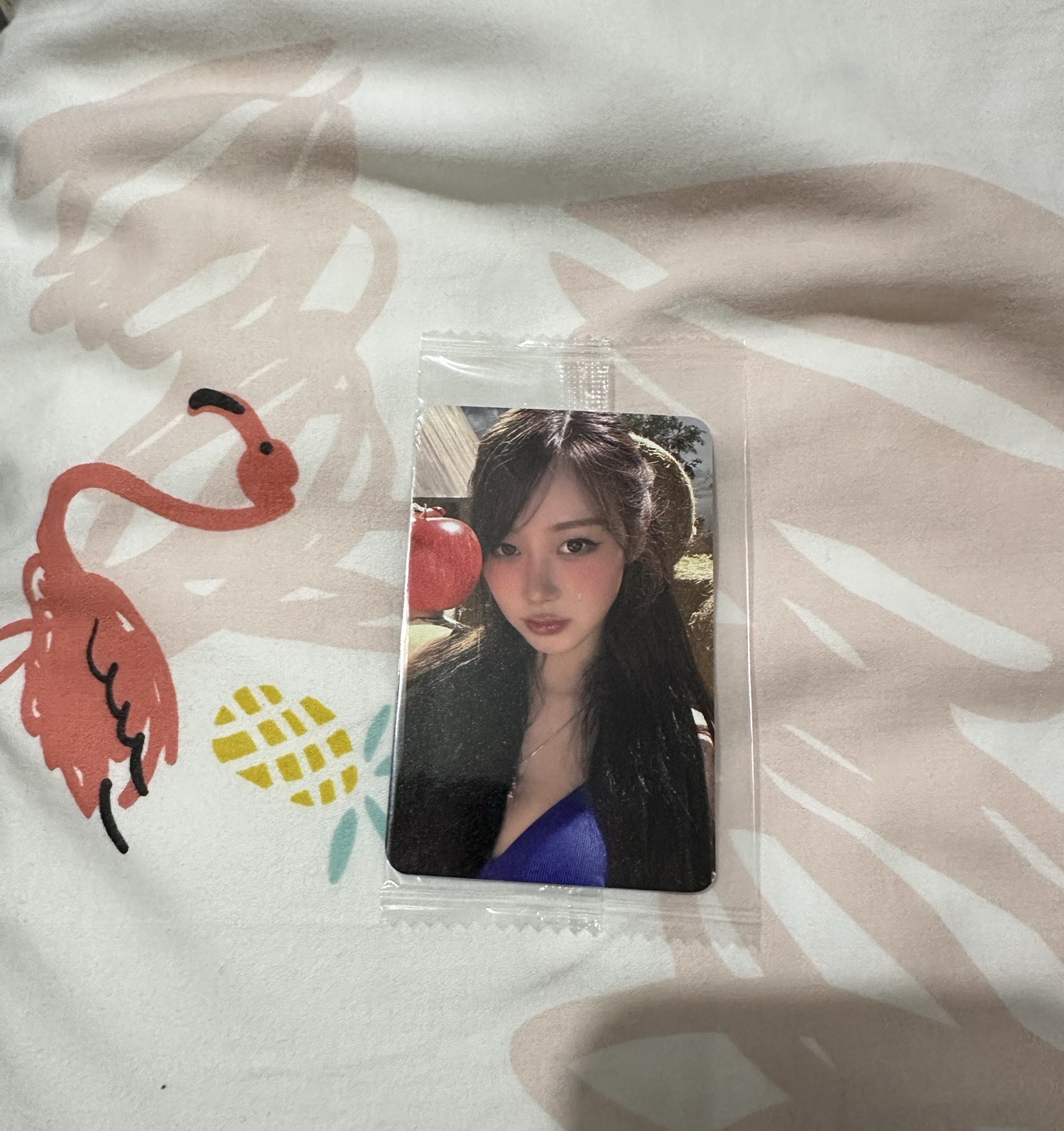 rich man k4預售 吉