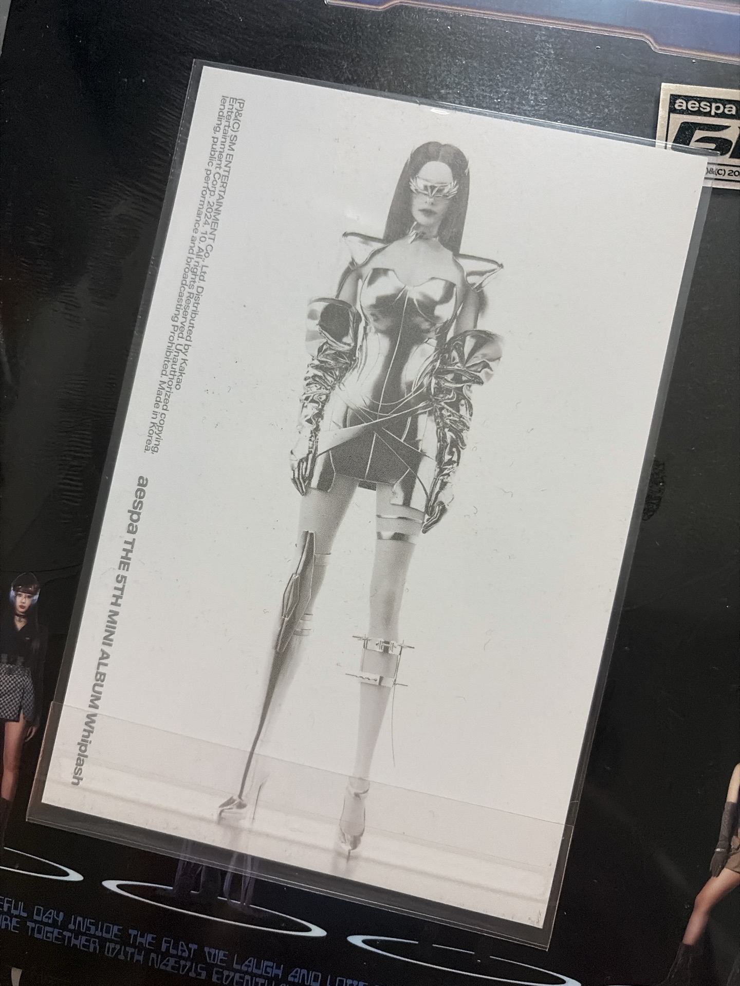 the beat柚 明信片