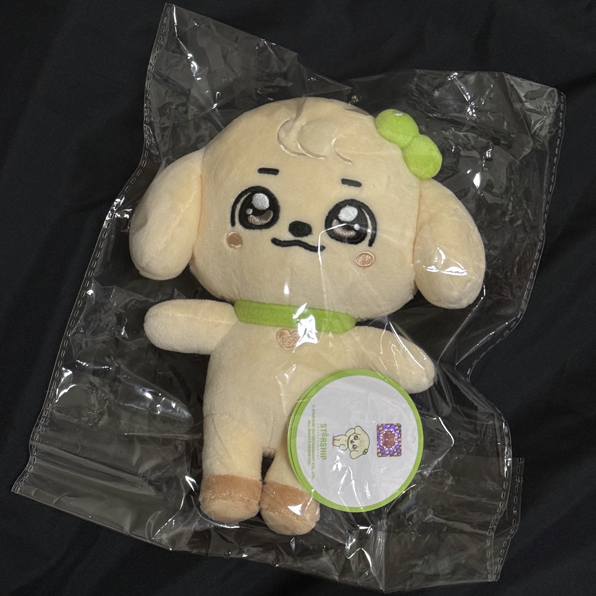 IVE 安俞真 20公分娃 MINIVE GANGANJI