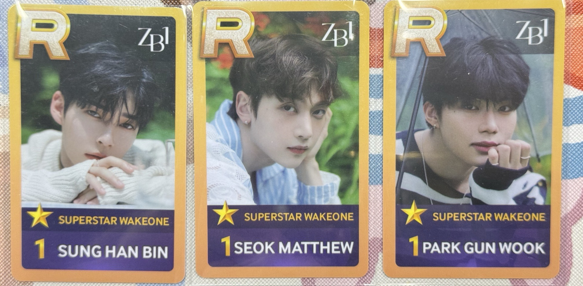 ZB1 SSW遊戲卡1.0 彬修旭