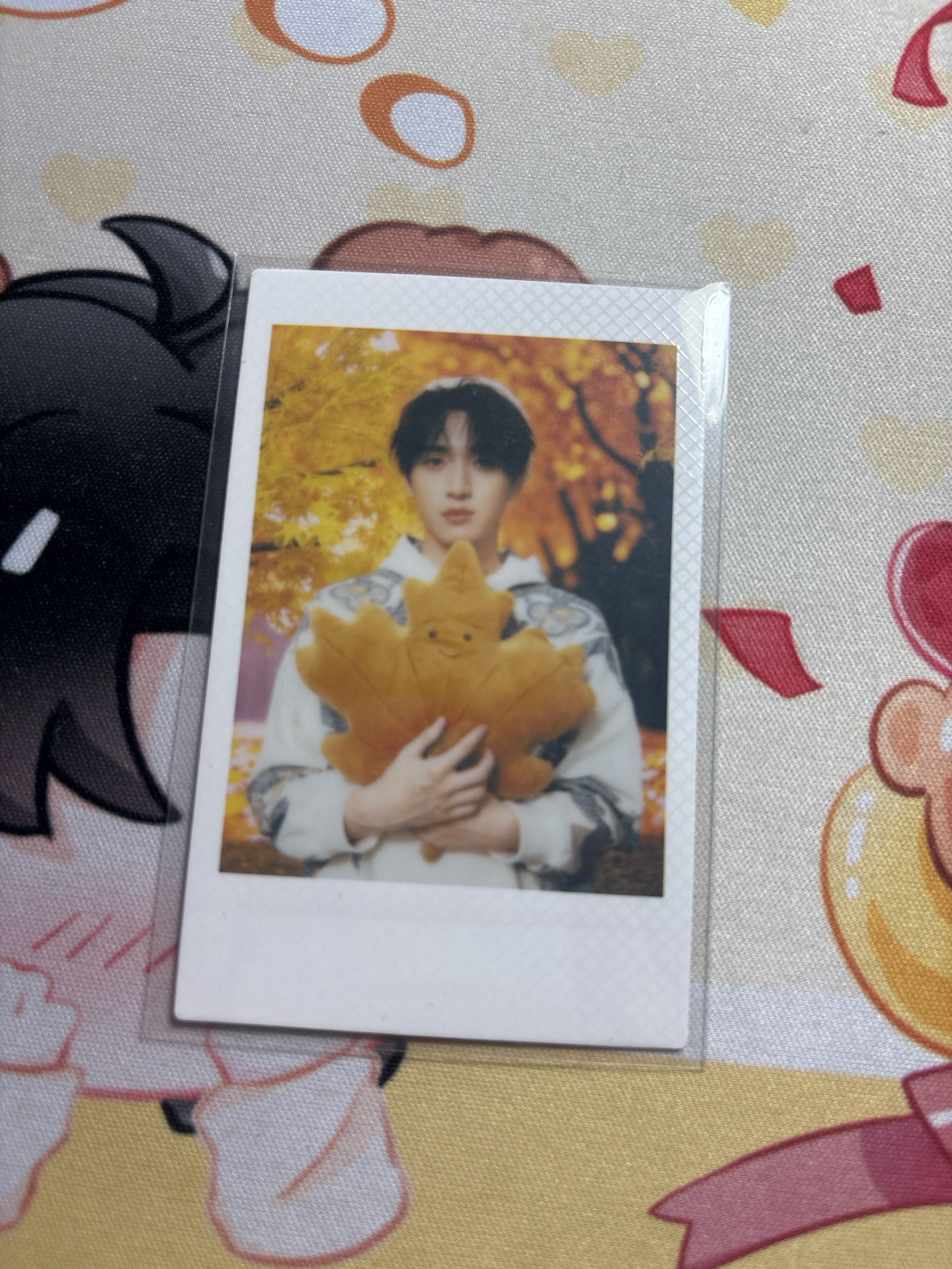 秋日記憶拍立得小卡