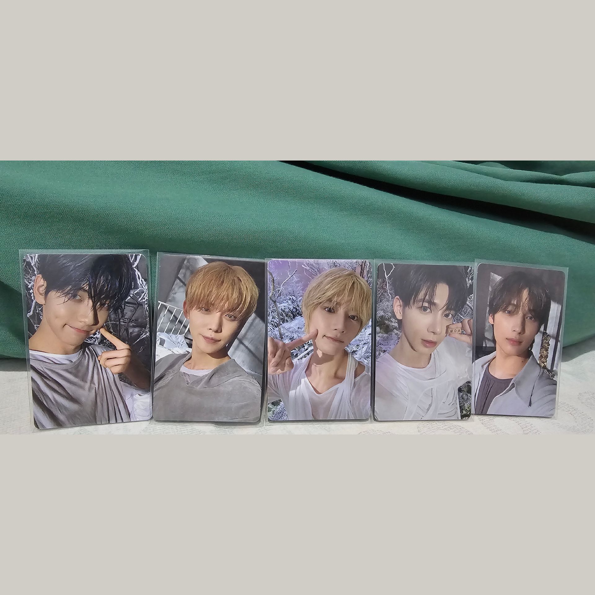 TXT Sanctuary Savoir版專卡 整套