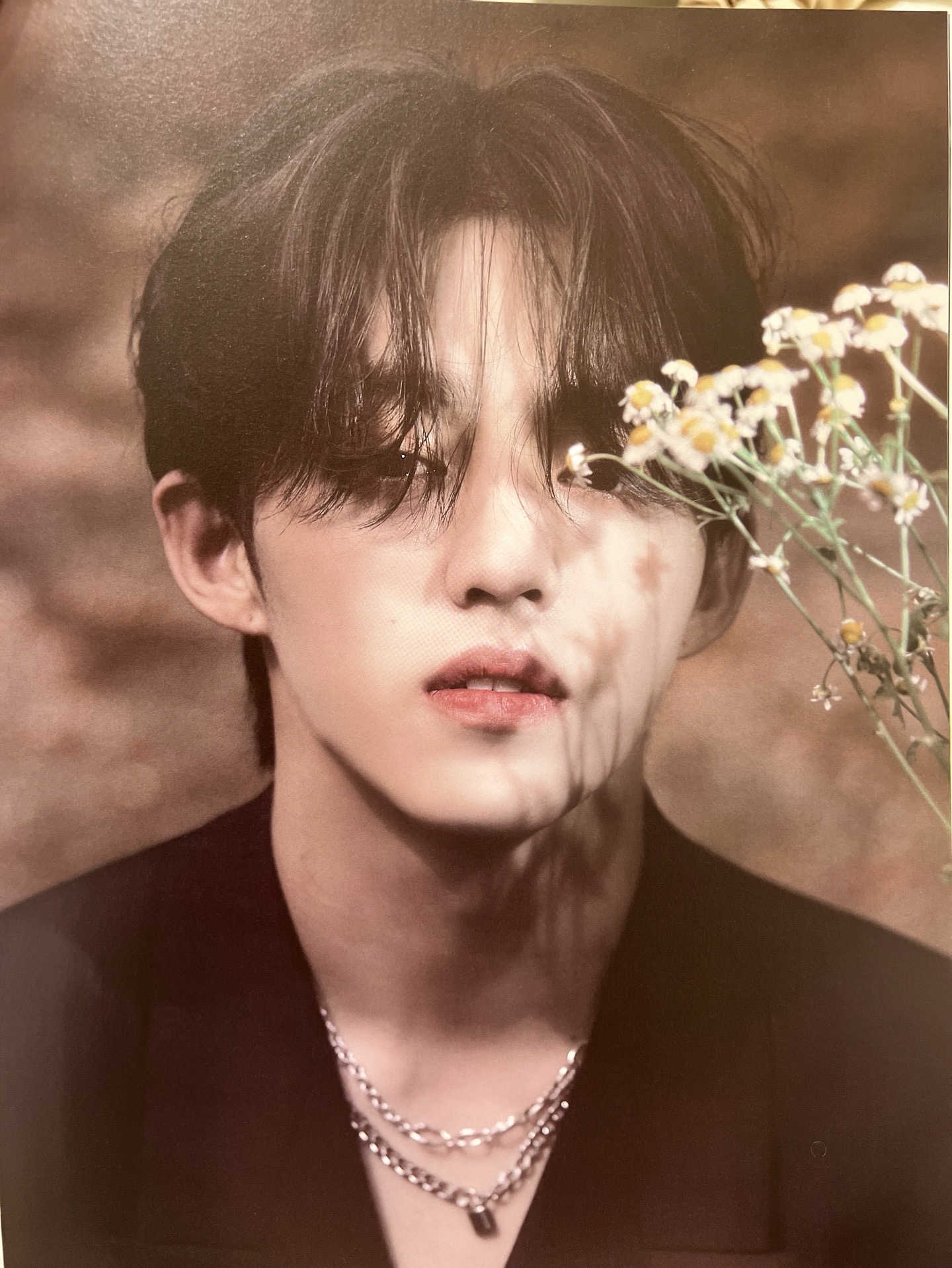 Social Club 傳家寶 黃&白寫真書、光碟、勳章