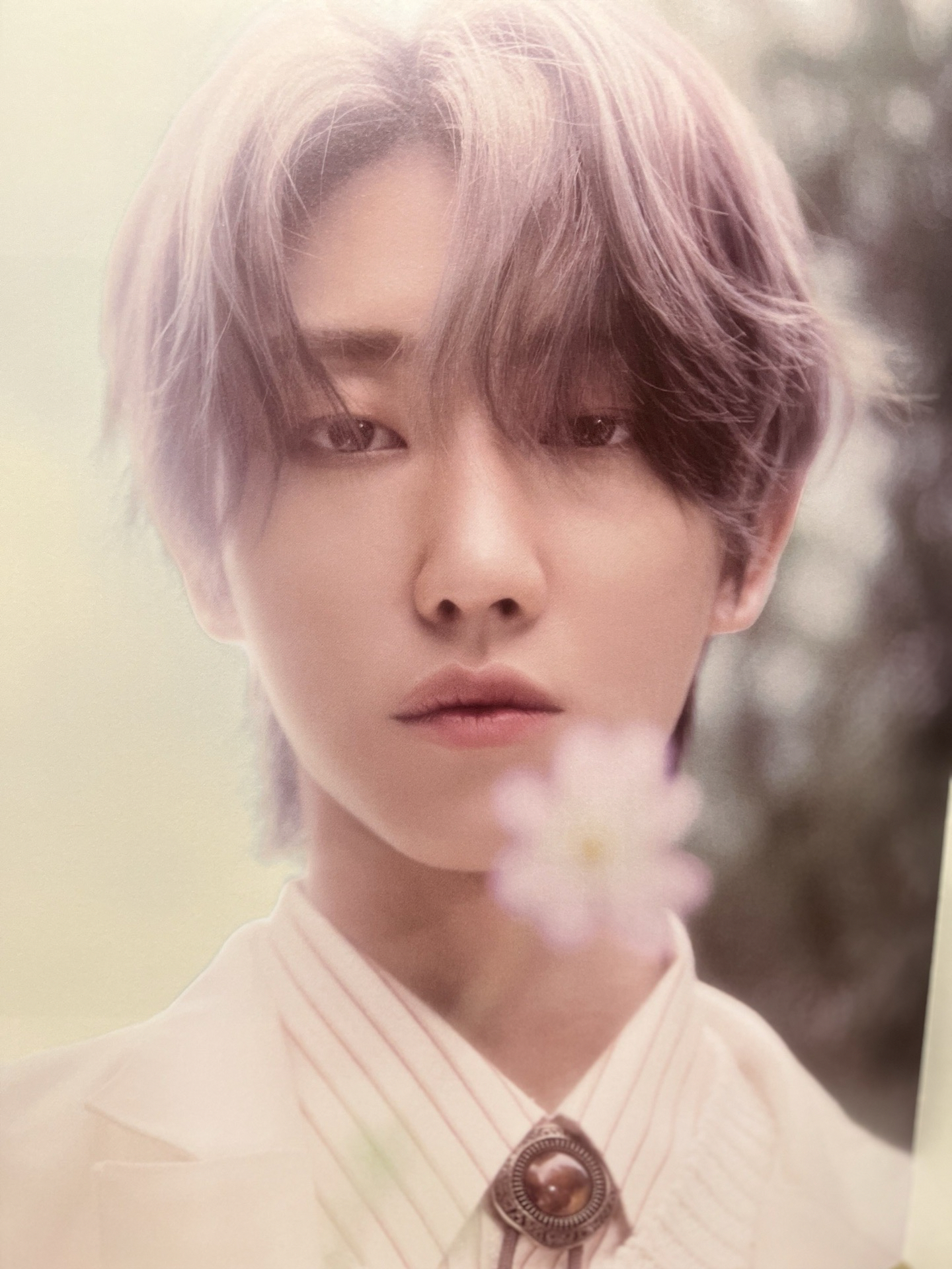 Social Club 傳家寶 黃&白寫真書、光碟、勳章