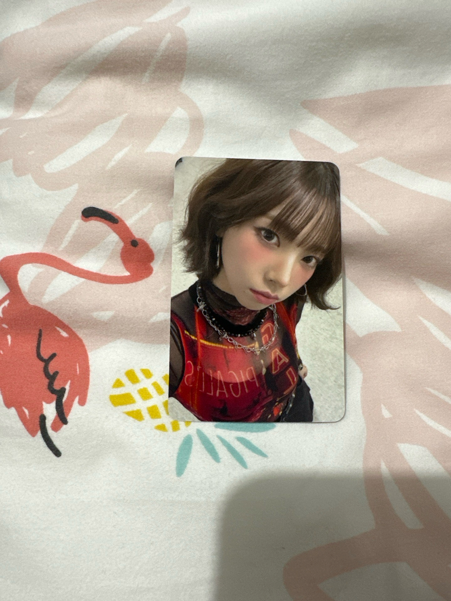 Dirty work AM預售 Karina 台灣拼盤造型柚～