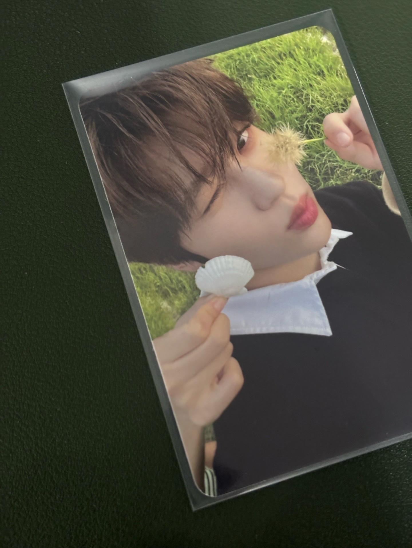 SION STEADY 隨機卡