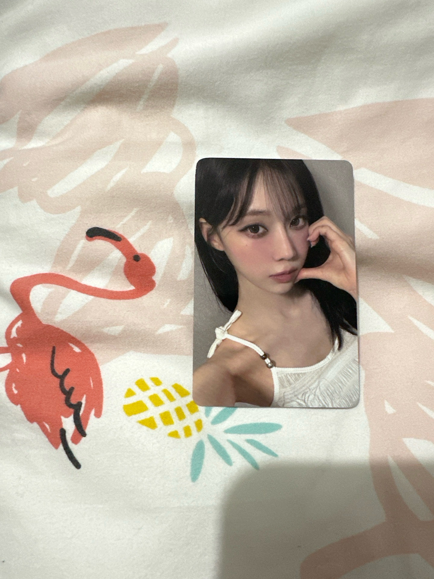 rich man el簽售 冬