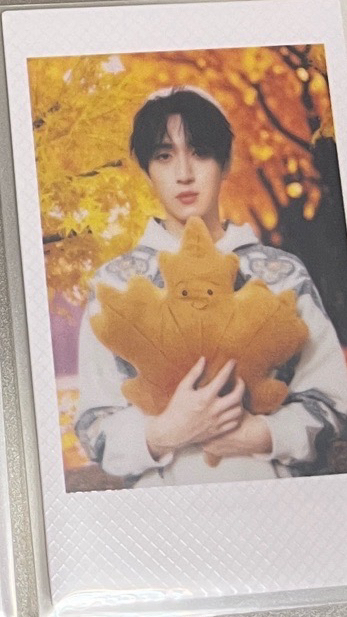 嚴浩翔秋日楓葉拍立得