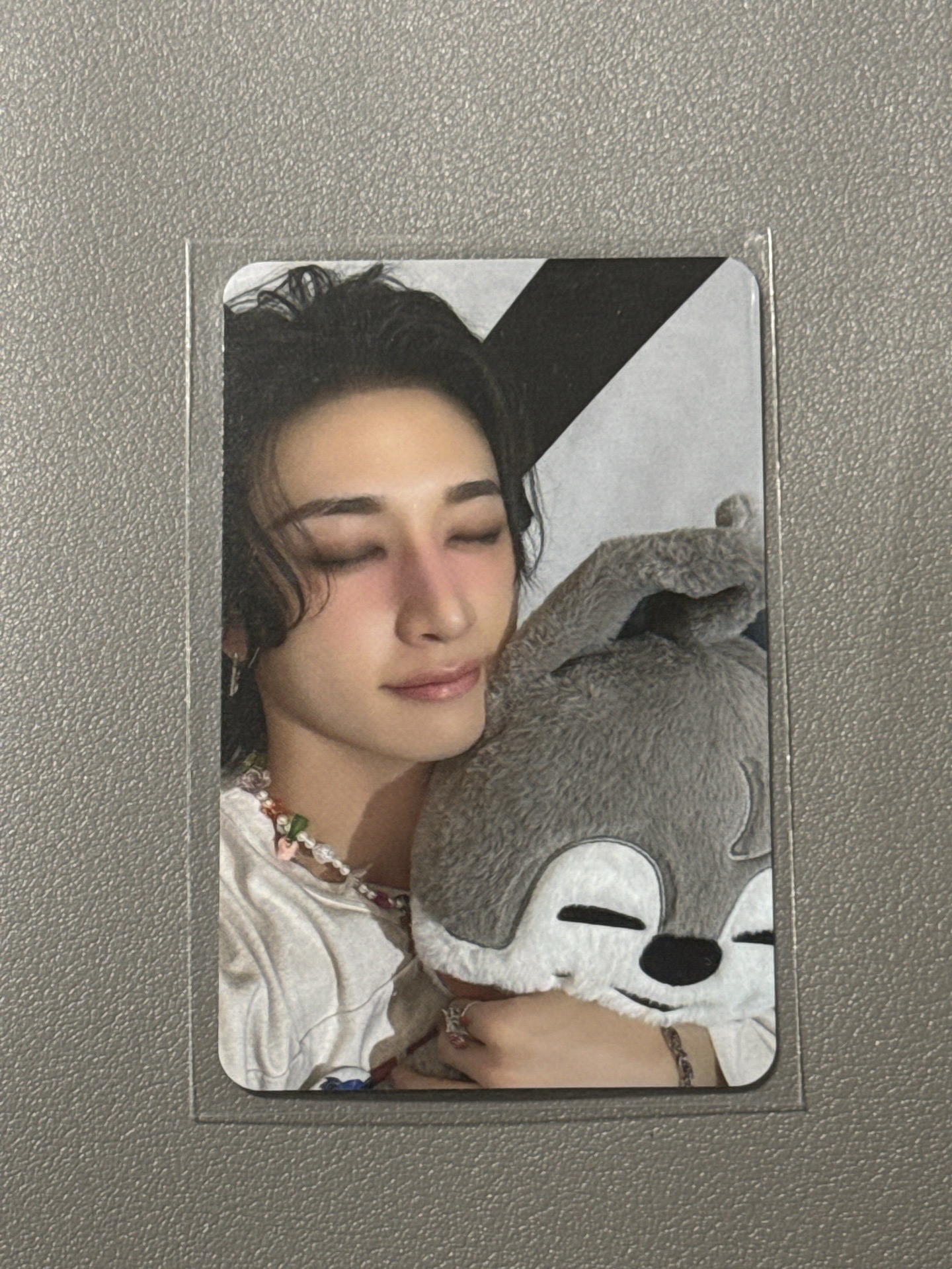 五期飯咪線下滿額燦