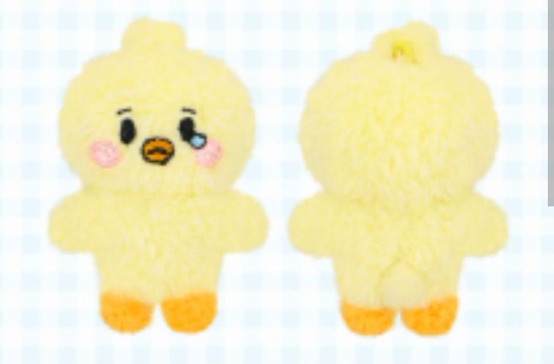 不綁 非現貨‼️ NMIXX Bae 裴真率 小娃 FM官娃