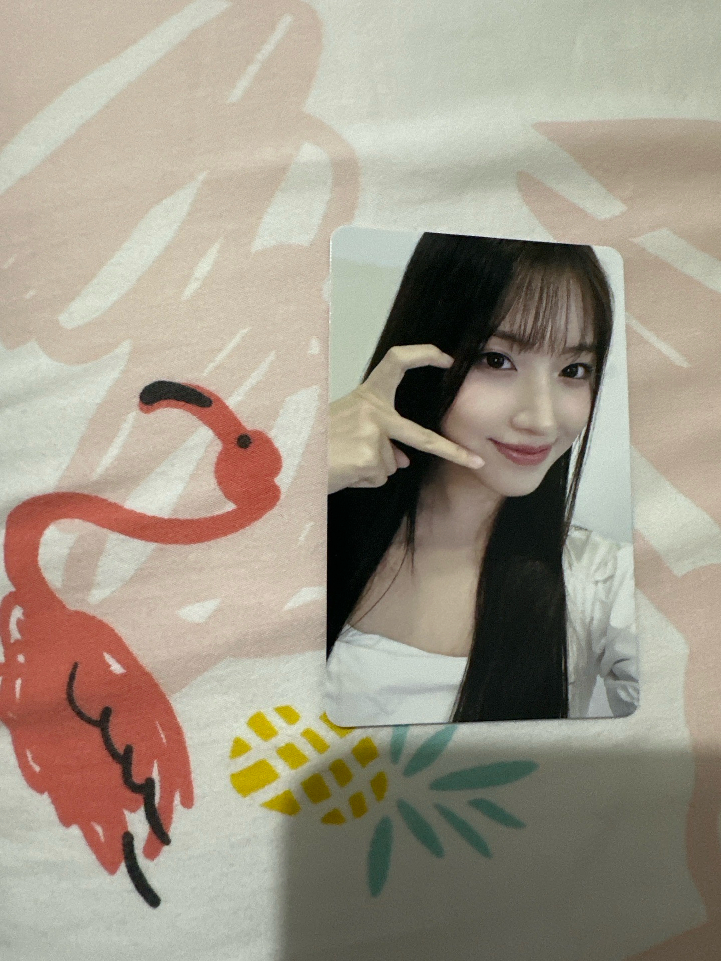 nimxx km簽售 jiwoo 