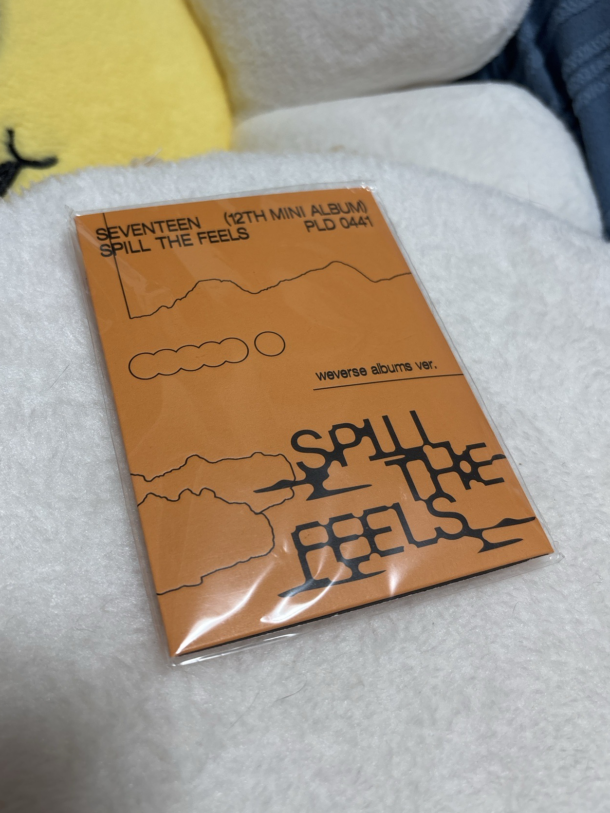 SEVENTEEN 迷12 電子專未掃