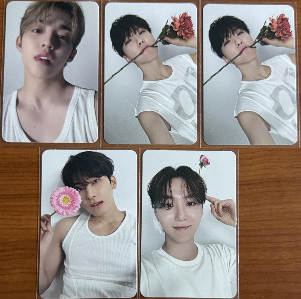 精選專 專輯卡 精選輯｜CARAT ver.（可當綁）