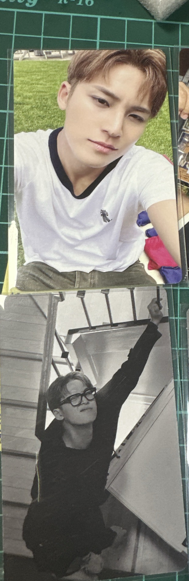 草皮上的大狗狗配+黑筐眼鏡wink