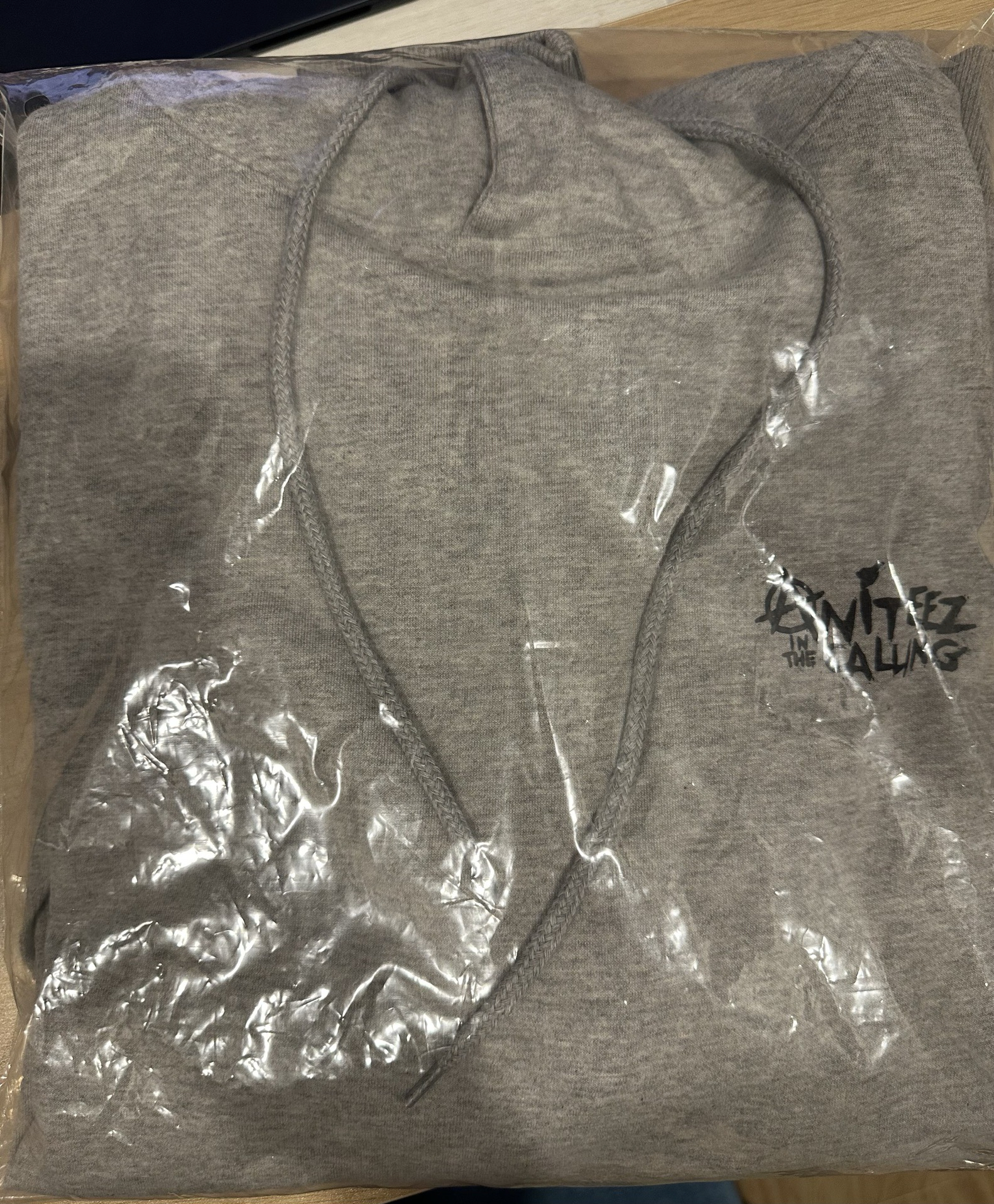 Aniteez in the calling-帽T 無小卡