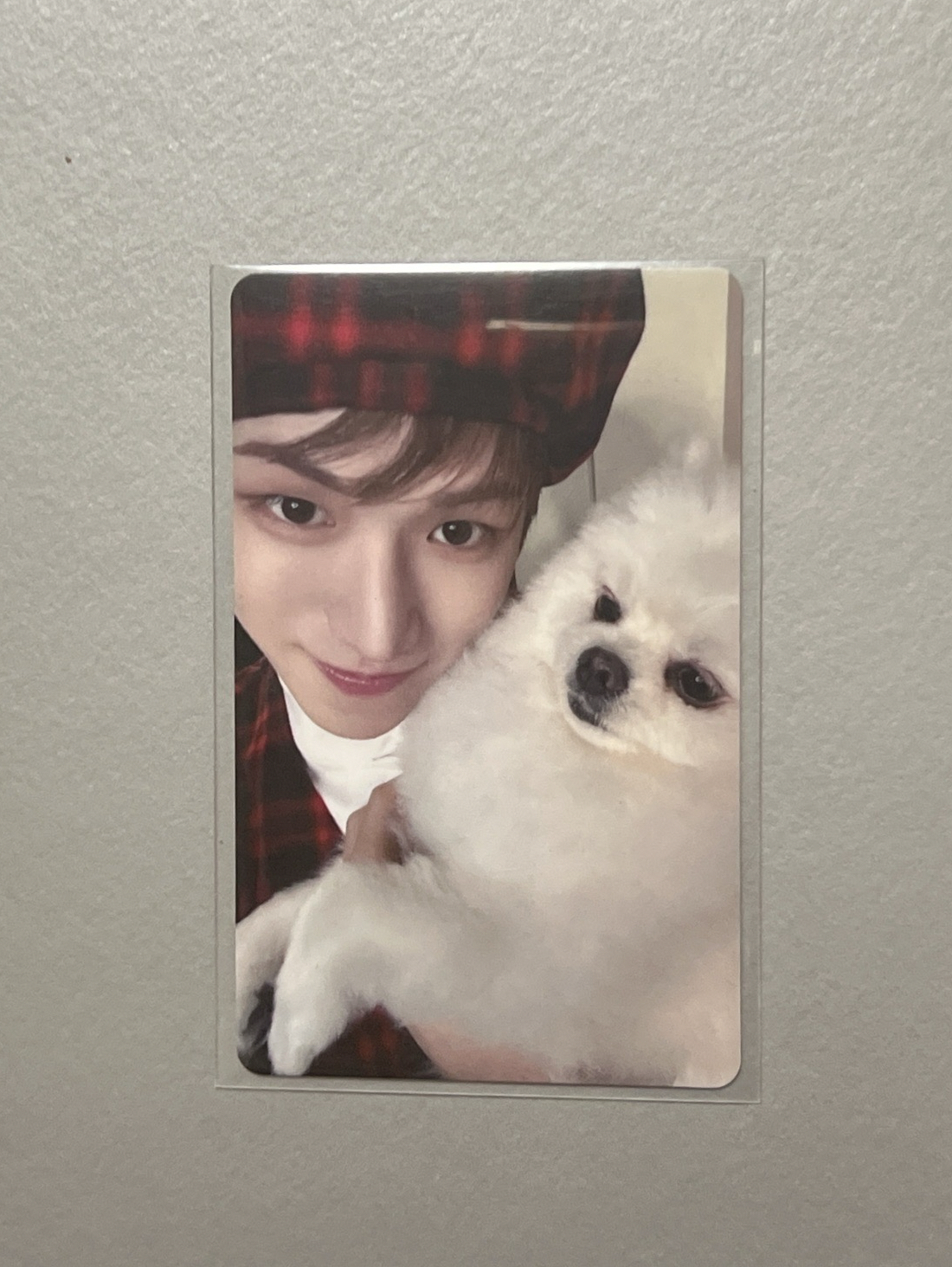 🩵 • 李常赫 BOYLIFE 塔店 幸運卡 