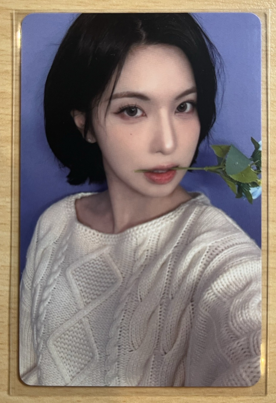 正規一 km 抽選卡 藍色玫瑰裴