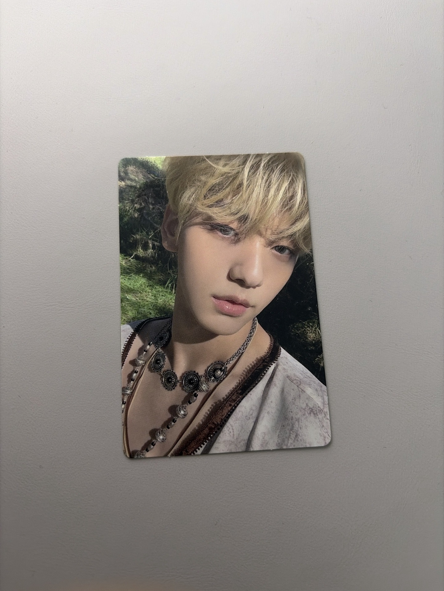 迷五 daydream 秀彬專卡