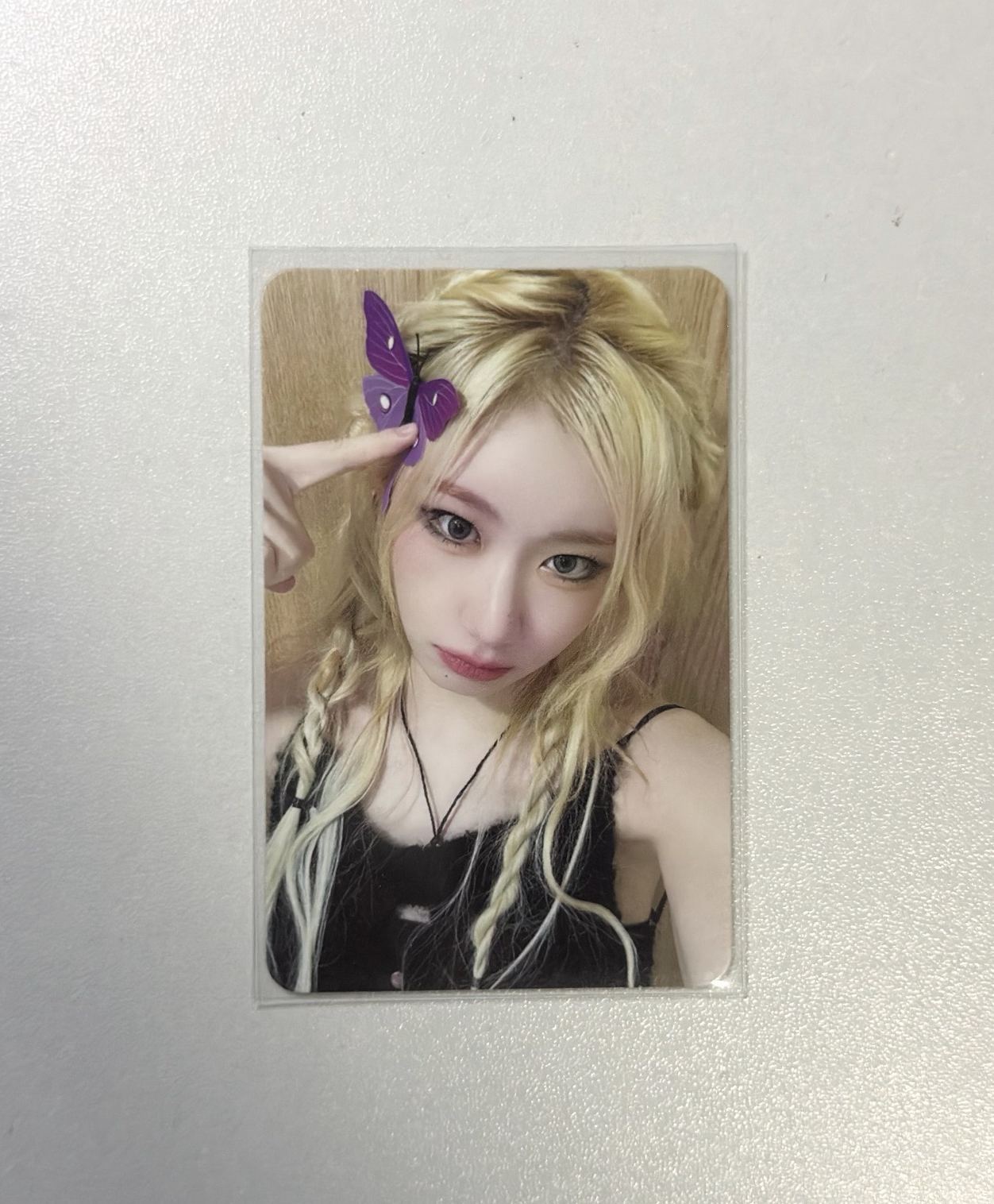 GOLD ms 6.0 簽售卡 蝴蝶領