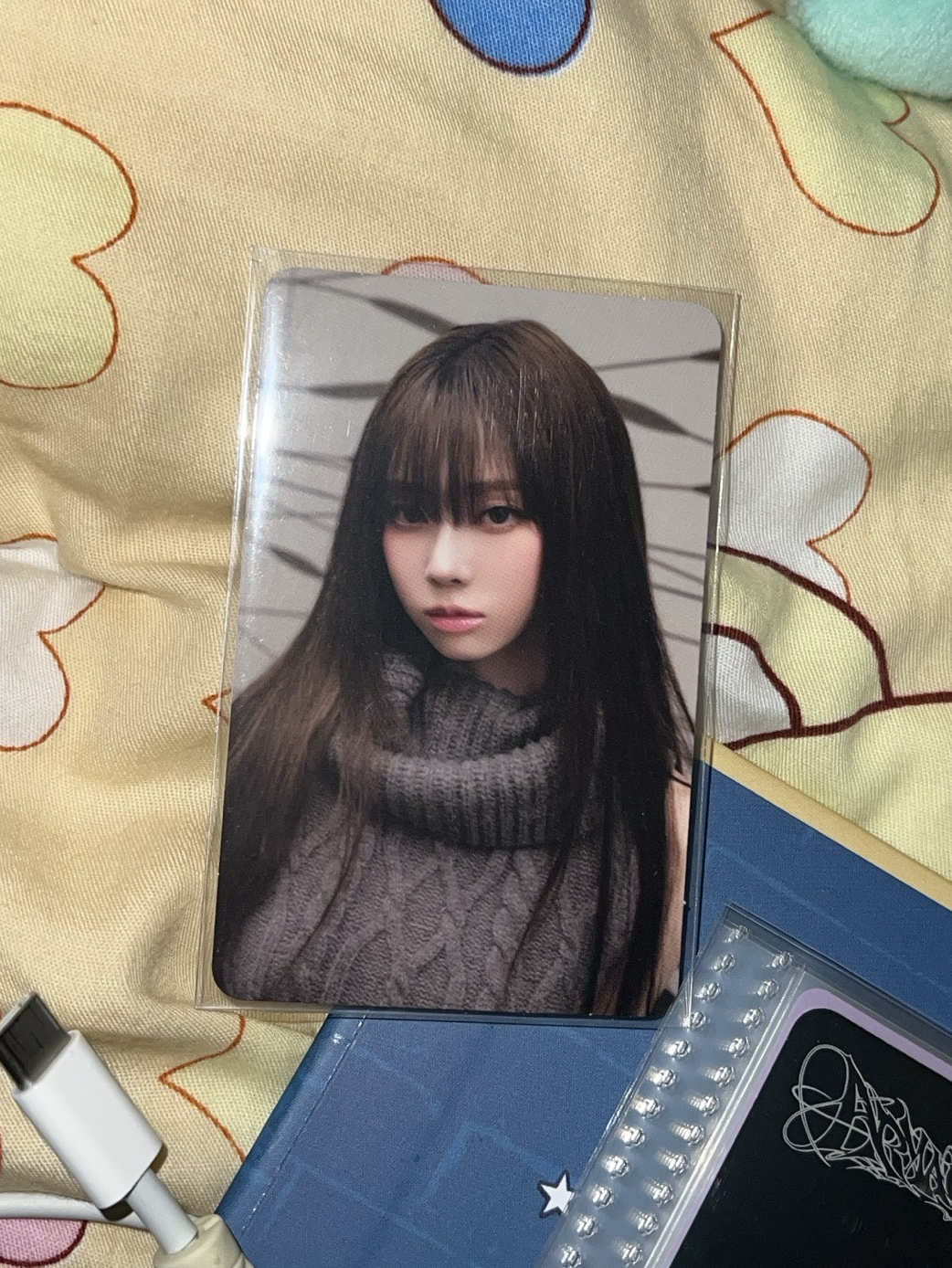 二巡安可場官拍冬