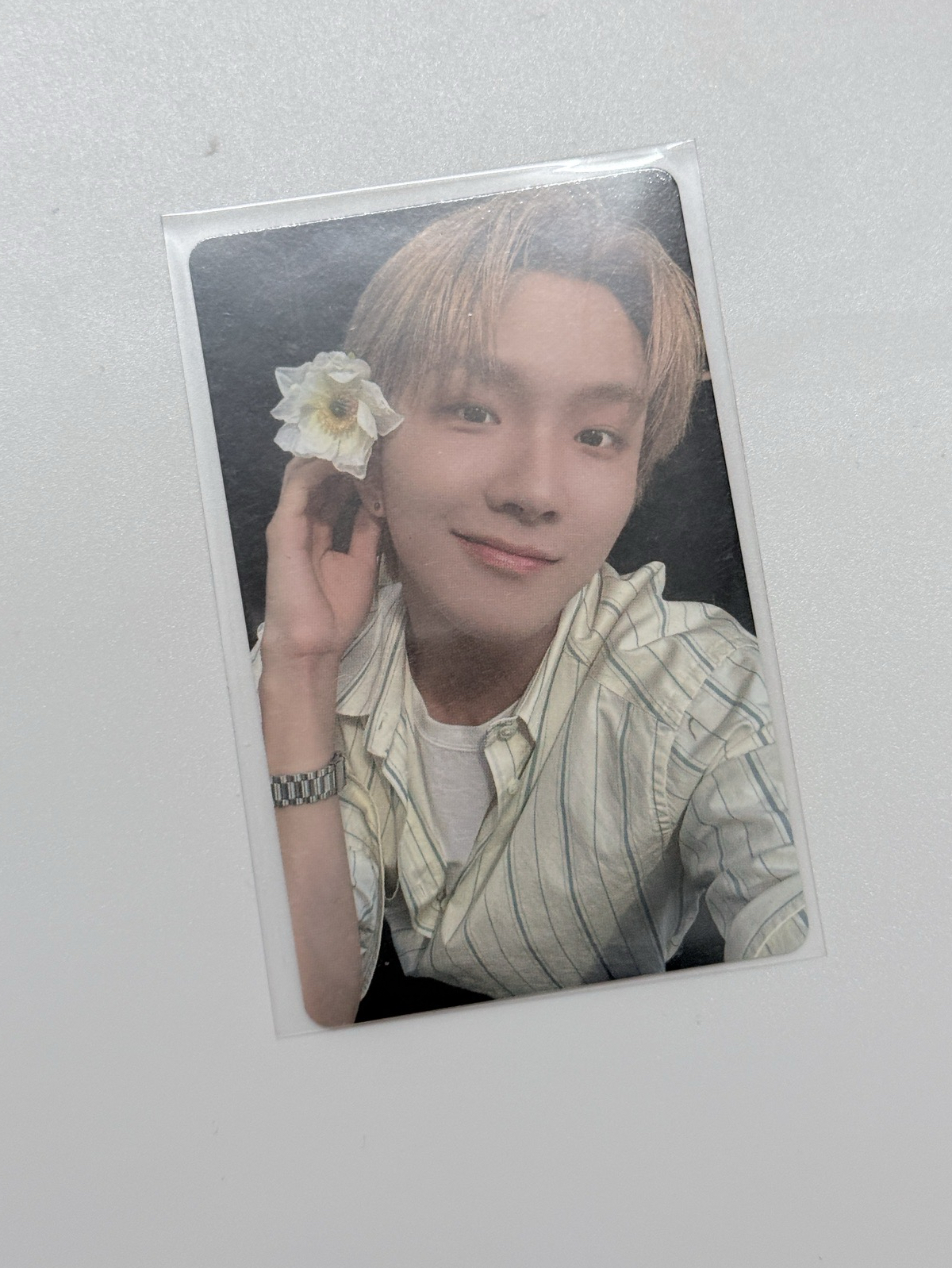 The Action wvs 特典卡