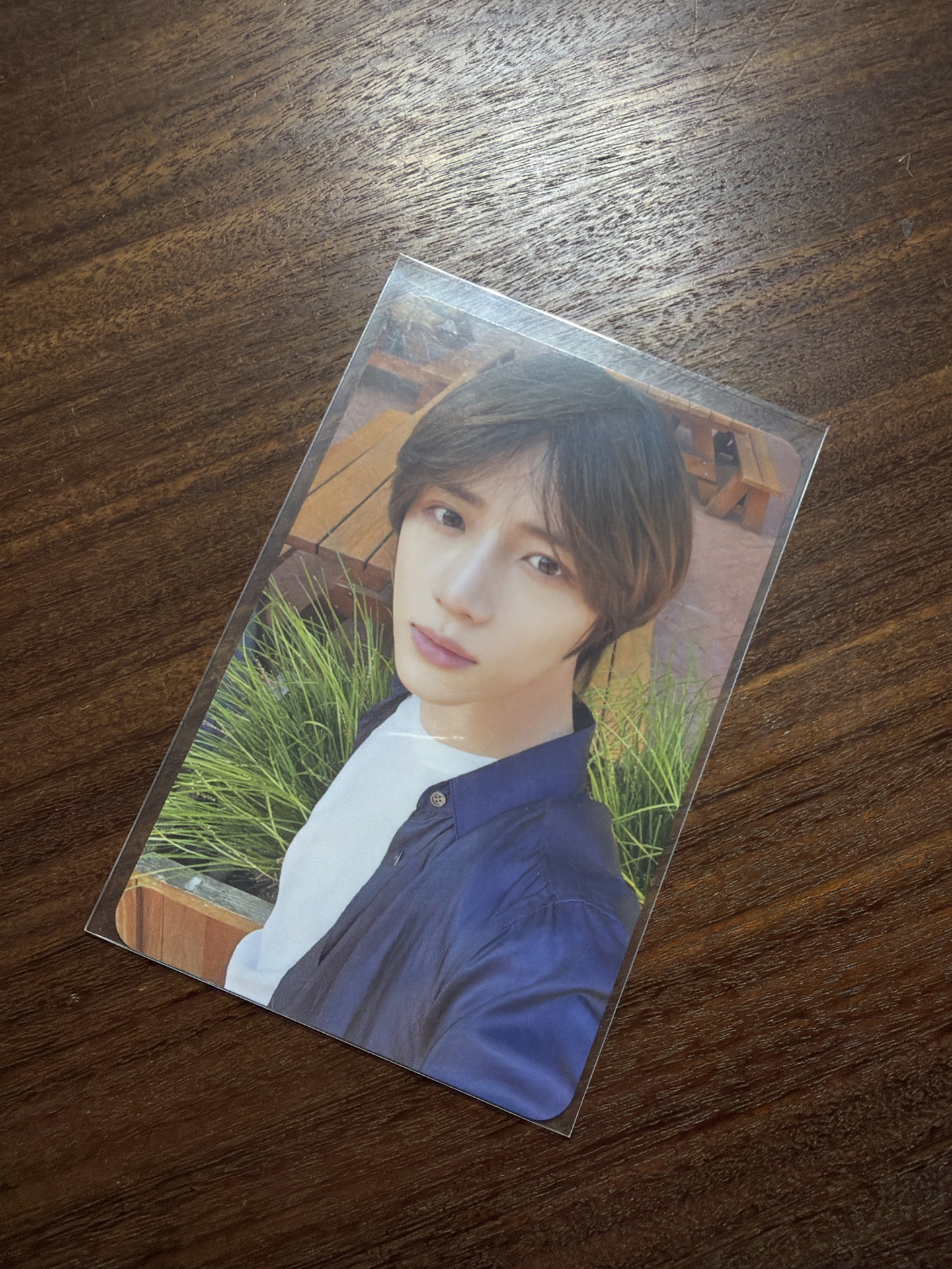 崔杋圭 美巡回憶錄