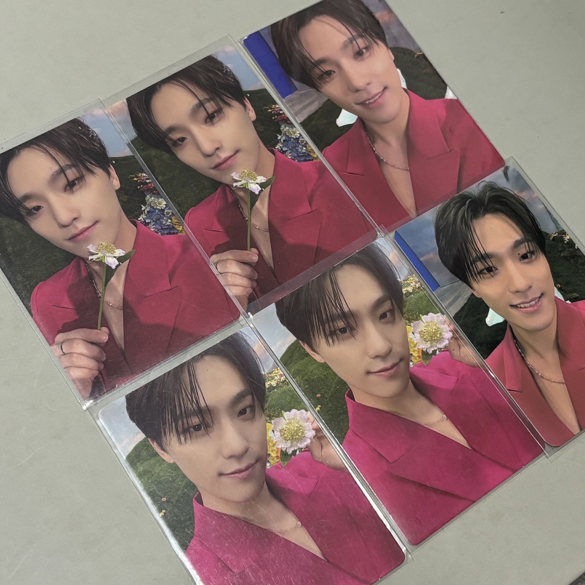 DINO SEVENTEEN 粉色西裝