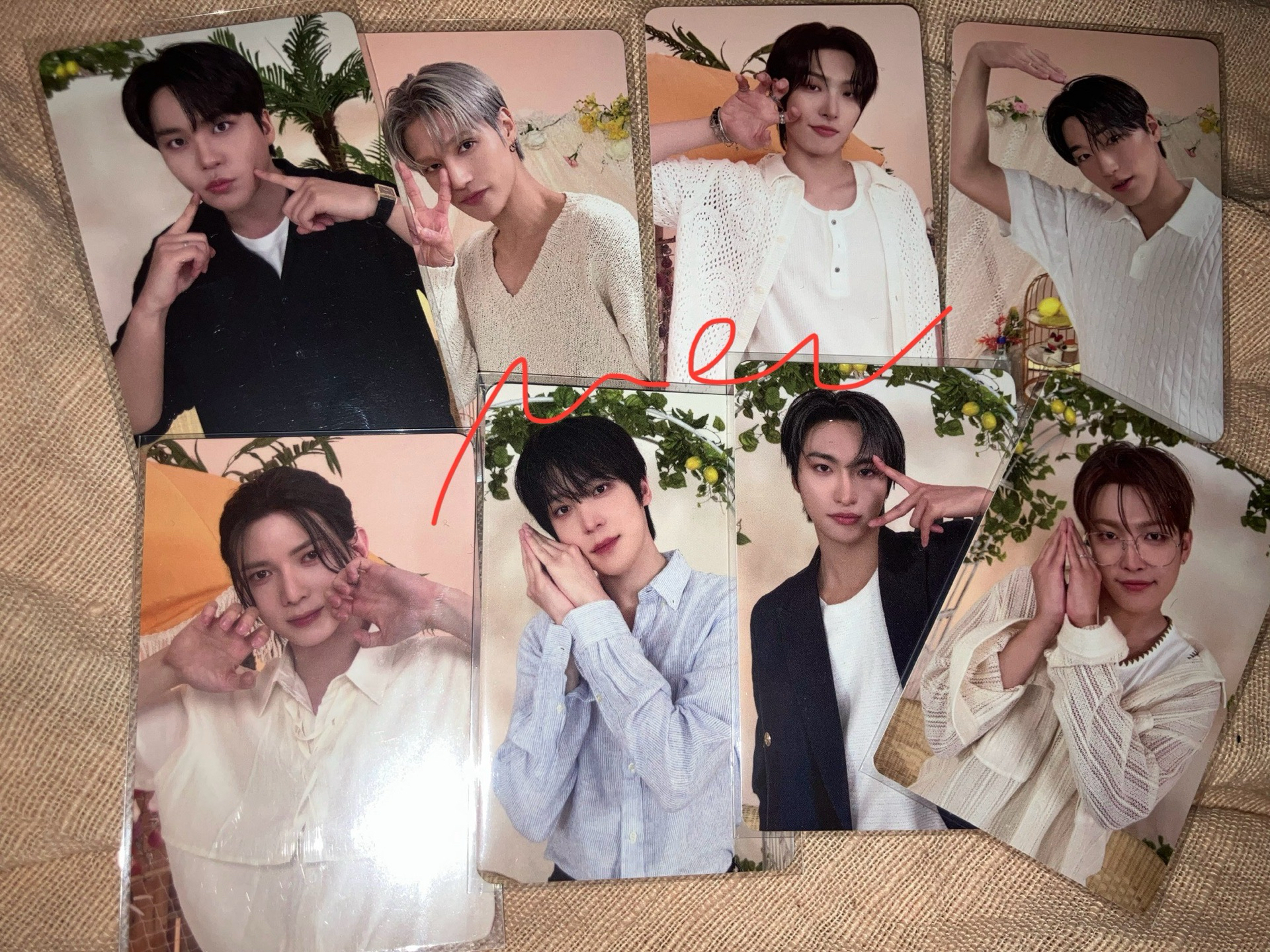 🏴‍☠️ MIGHTEEZ 滿額卡一套