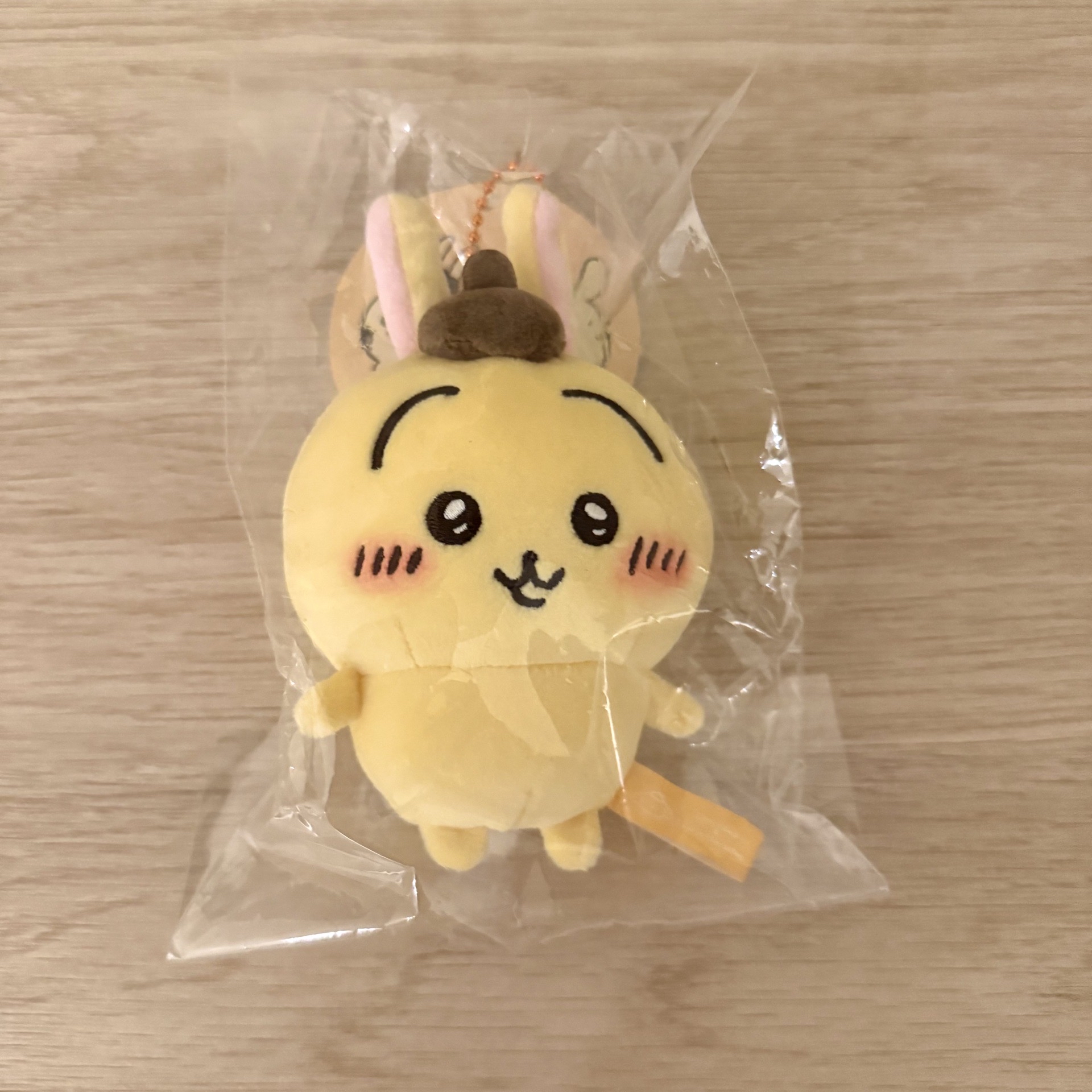 𓊆ྀི烏薩奇布丁狗𓊇ྀི