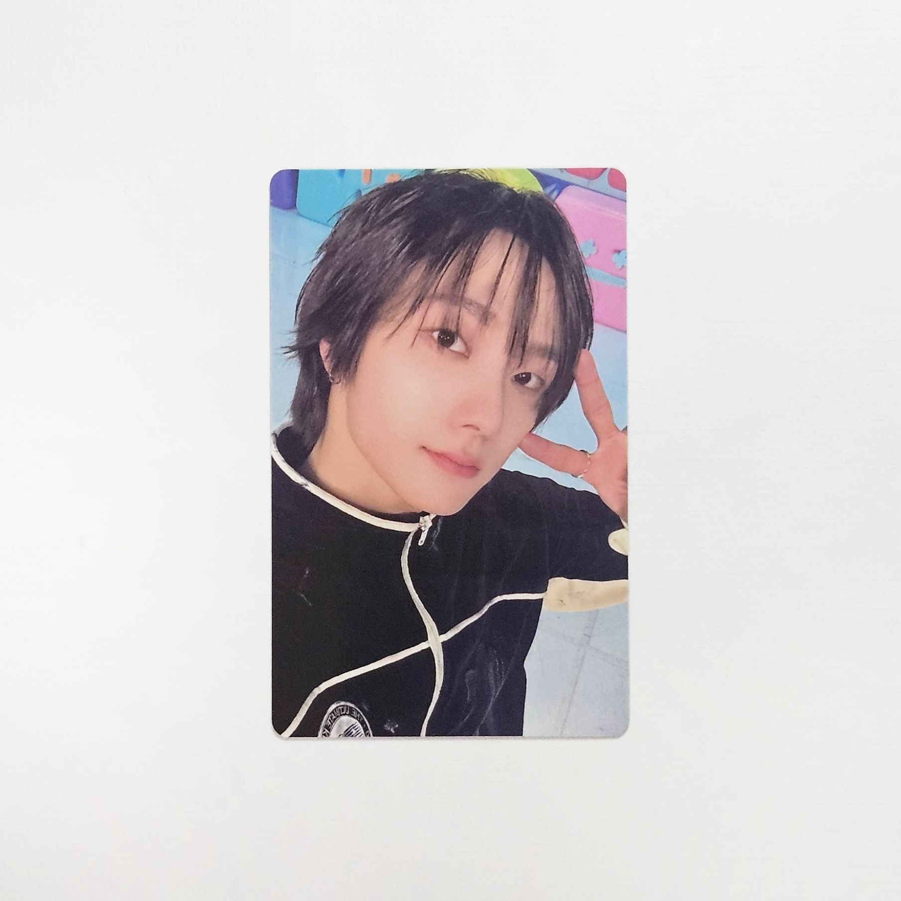 🐈No Genre WVS特別禮